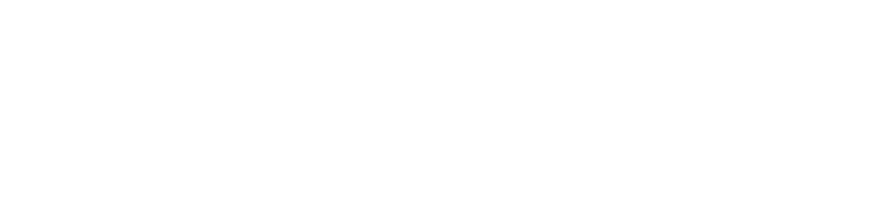logo-dron100ans-blanc